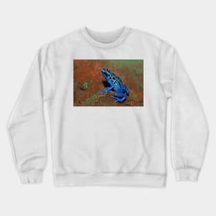 Poison Arrow Crewneck Sweatshirt